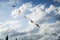 Kites in a windy cloudy sky