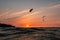 Kitesurfer doing a massive jump in front of a beautiful sunset