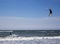 Kitesurfer jumping on a beautiful background of spray during the sunset