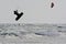 Kitesurfer silhouette jump