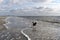 Kitesurfer in St- Peter-Ording