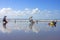 Kitesurfers on a beach