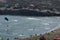 Kitesurfers on the waves of the Mediterranean sea