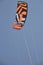 Kitesurfing #8