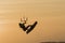 Kitesurfing girl silhouette jumping at golden hour sunset woman kiteboarding jump