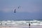 Kitesurfing at Muizenberg beach