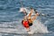 Kitesurfing in the Summer. Water Sports