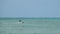 Kitesurfing on the Tropical Beach in Turquoise Sea Water, Paje, Zanzibar