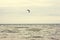 Kitesurfing on the waves of the sea