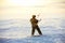 Kiting on a snowboard on a frozen lake