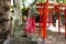 Kitsune fox statue in Japanese shrine