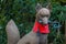 Kitsune sculpture at Fushimi Inari-taisha shrine in Kyoto