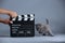 Kitten as actor and a clapperboard, video production