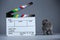 Kitten as actor and a clapperboard, video production