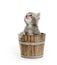 Kitten in a barrel