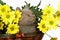 Kitten in basket with yellow flowers