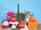 Kitten birthday party with presents and cupcakes