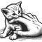 Kitten bites hand engraving sketch vector