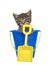 Kitten in a blue beach bucket holding yellow shovel, isolated