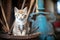 kitten with blue eyes perching on an antique farm tool