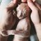 kitten breed Canadian Sphynx on the hands of a person