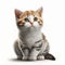 Kitten Cuteness: Adorable Cat Illustration, Isolated on White background - Generative AI