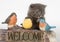 Kitten and decorative welcome sign