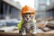 A kitten dressed as a builder at a construction site with safety helmet. kitten wearing helmet for work. A kitten wearing a hard