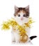 Kitten with a festive garland and a ball