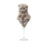 Kitten in a glass