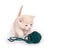 Kitten and green yarn