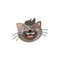 Kitten head isolated cat emoji snout face portrait