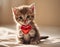 Kitten Holds Red Heart In Paws, Adorable Feline Captured With Symbol of Love