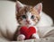 Kitten Holds Red Heart In Paws, Adorable Feline Captured With Symbol of Love