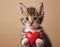 Kitten Holds Red Heart In Paws, Adorable Feline Captured With Symbol of Love