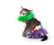 Kitten with hula skirt and green lay