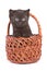 Kitten inside wooden basket