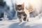 Kitten jumping snow winter. Generate Ai