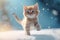 Kitten jumping winter view. Generate Ai