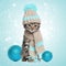 Kitten in knitted scarf and hat with christmas decorations