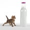 Kitten looking onto huge bottle of milk