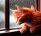 Kitten Looks Out the Window, Generative AI Illustration