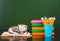 Kitten lying on the books near empty green chalkboard