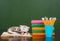 Kitten lying on the books near empty green chalkboard