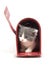Kitten in a mailbox
