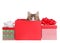 Kitten peaking out of a red present with Christmas presents beside, isolated