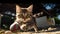 kitten playing with a ball outside by a barn yard building