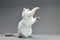 Kitten playing with feather wand - small British kitten gray white color chews cat toy close-up