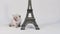 Kitten portrait near Tour Eiffel, isolated
