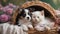 kitten and puppy in basket serene snapshot of a sleepy puppy and kitten cuddled up together in a cozy wicker basket,